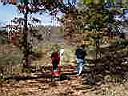 road in 3.JPG